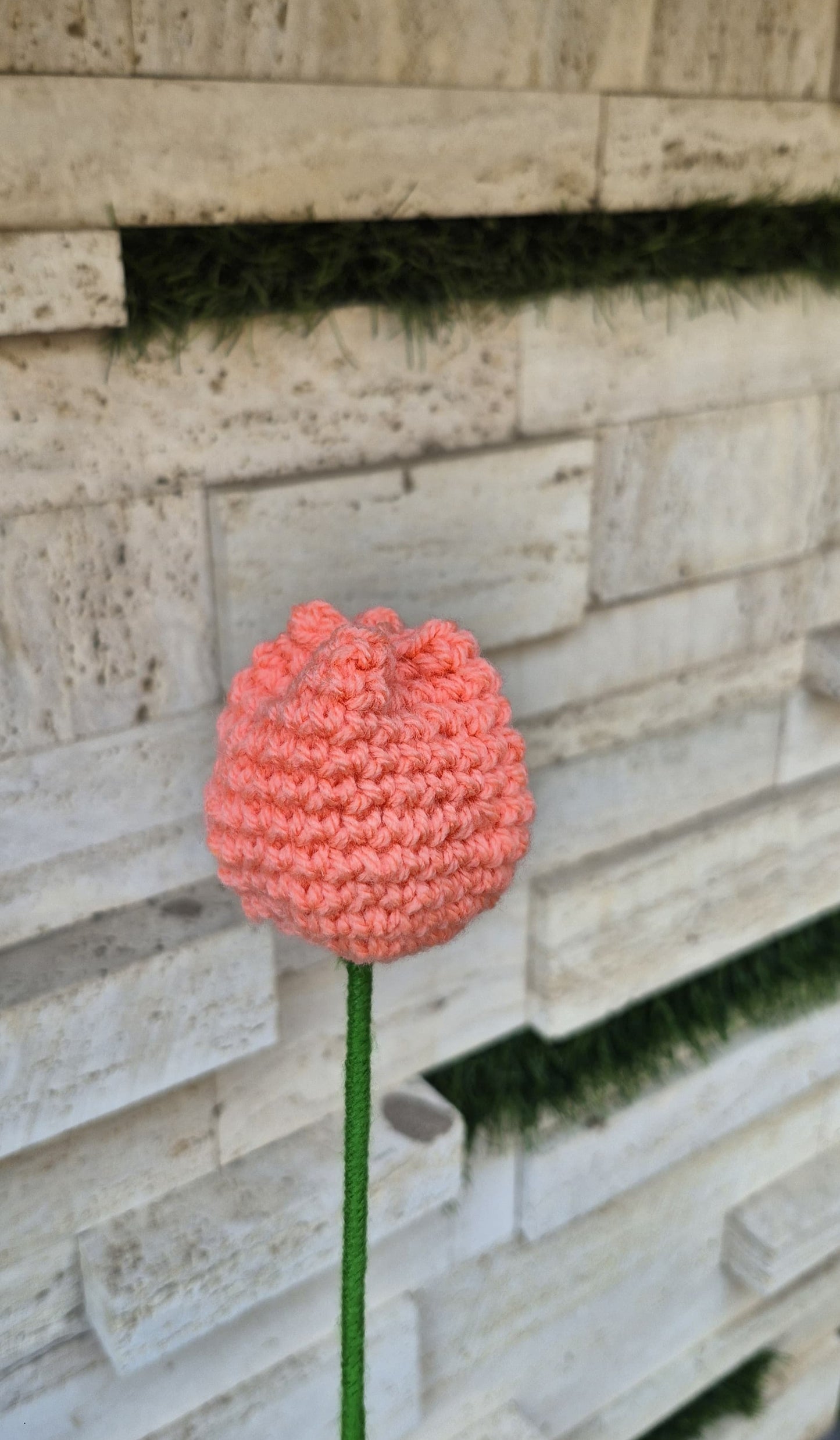 Crochet tulips 🌷